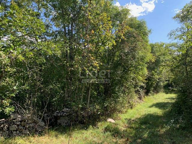 Zemljišče Mali Brgud, 1259m2