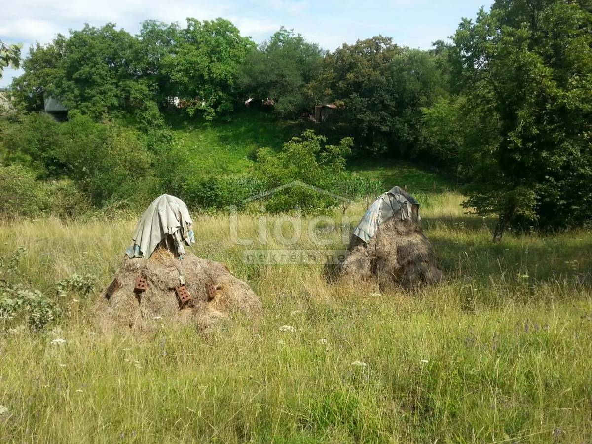 Zemljišče Čavle, 3000m2