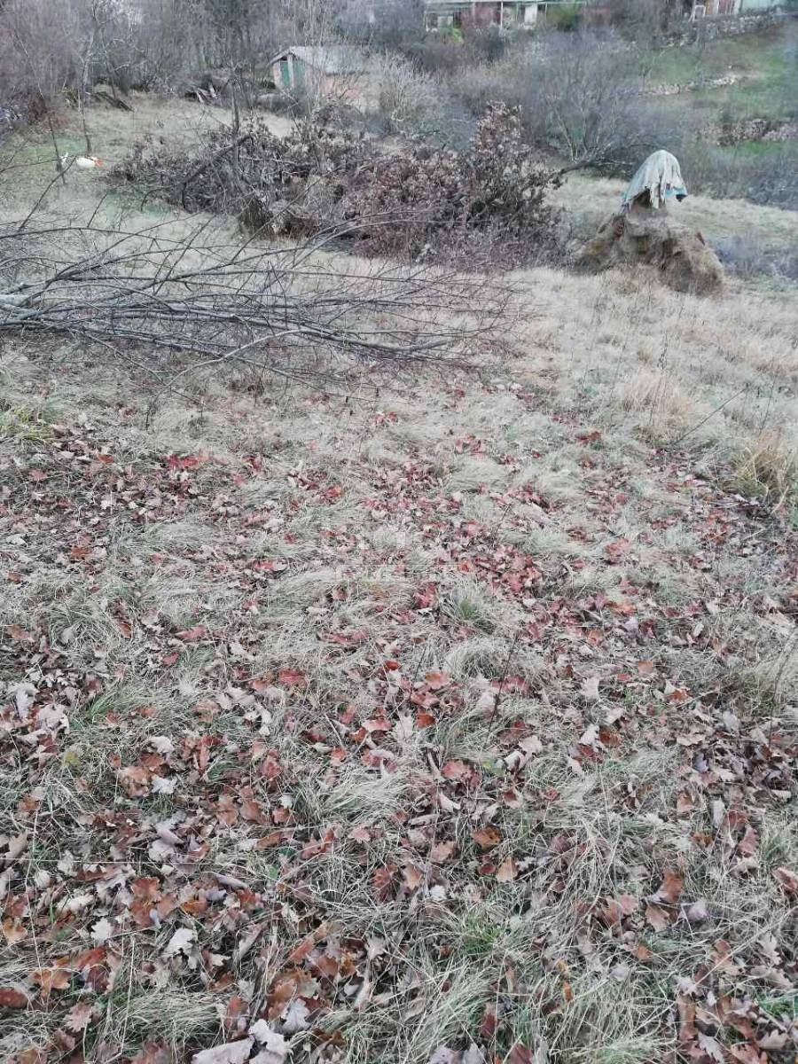 Zemljišče Čavle, 3000m2