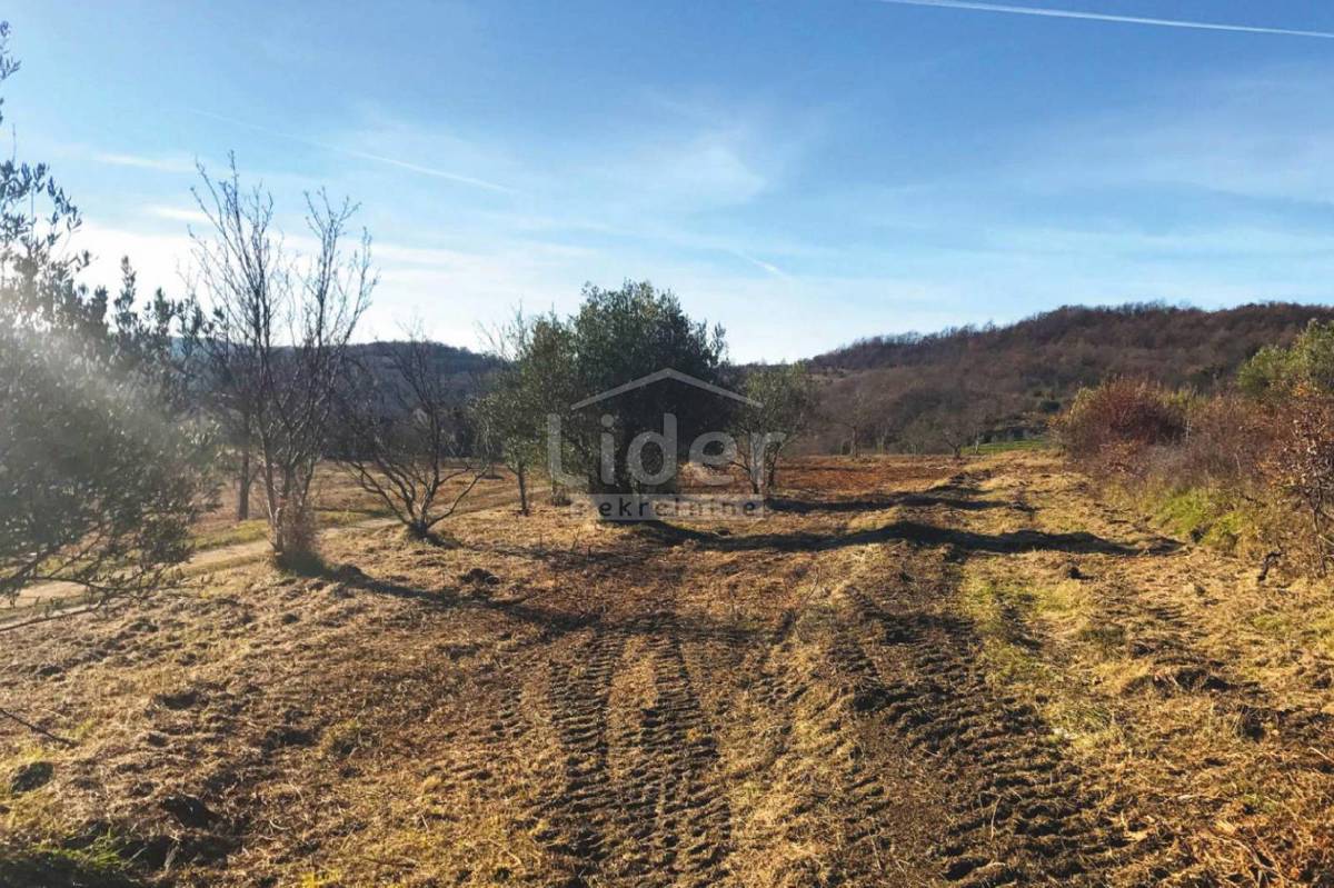 Hiša Grožnjan, 450m2