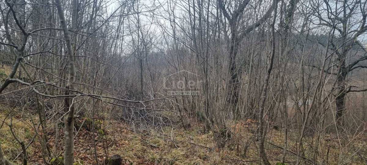 Zemljišče Viškovo, 2142m2