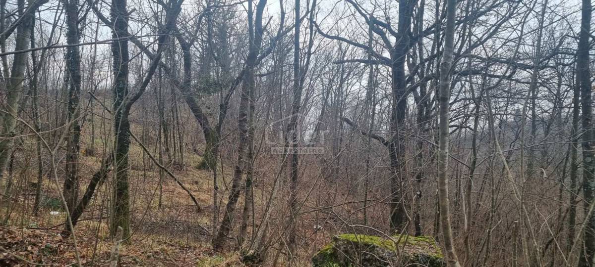 Zemljišče Viškovo, 2142m2