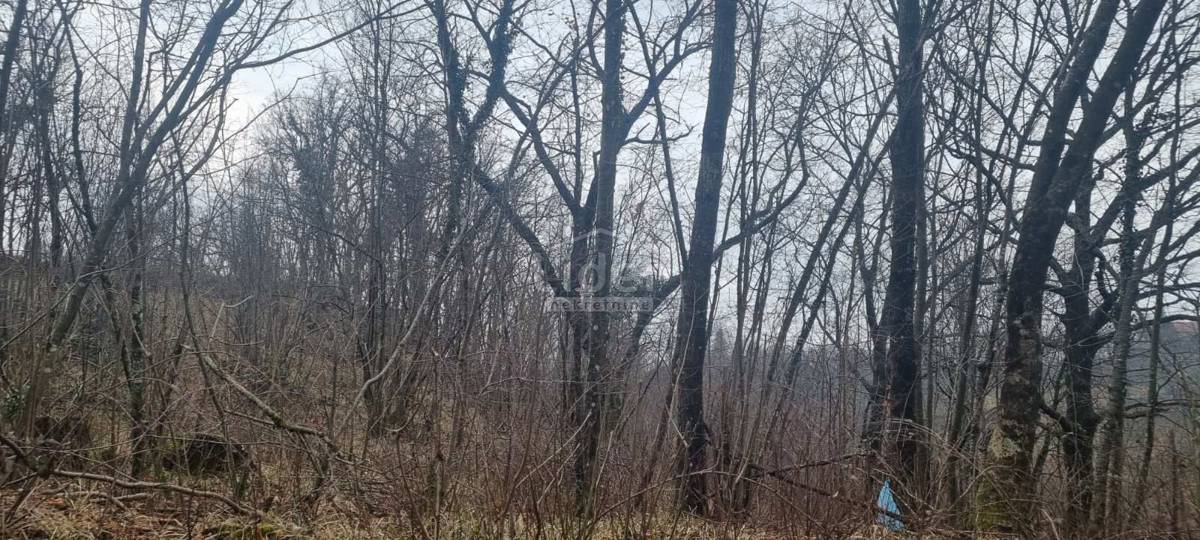 Zemljišče Viškovo, 2142m2