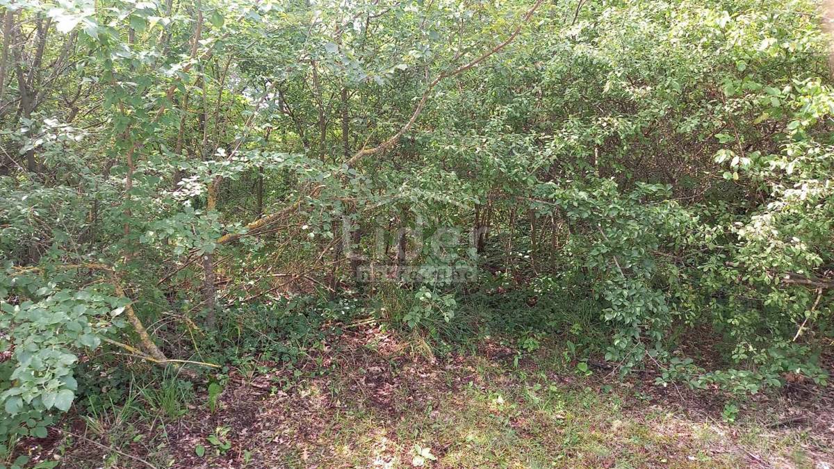 Zemljišče Laginji, 1950m2