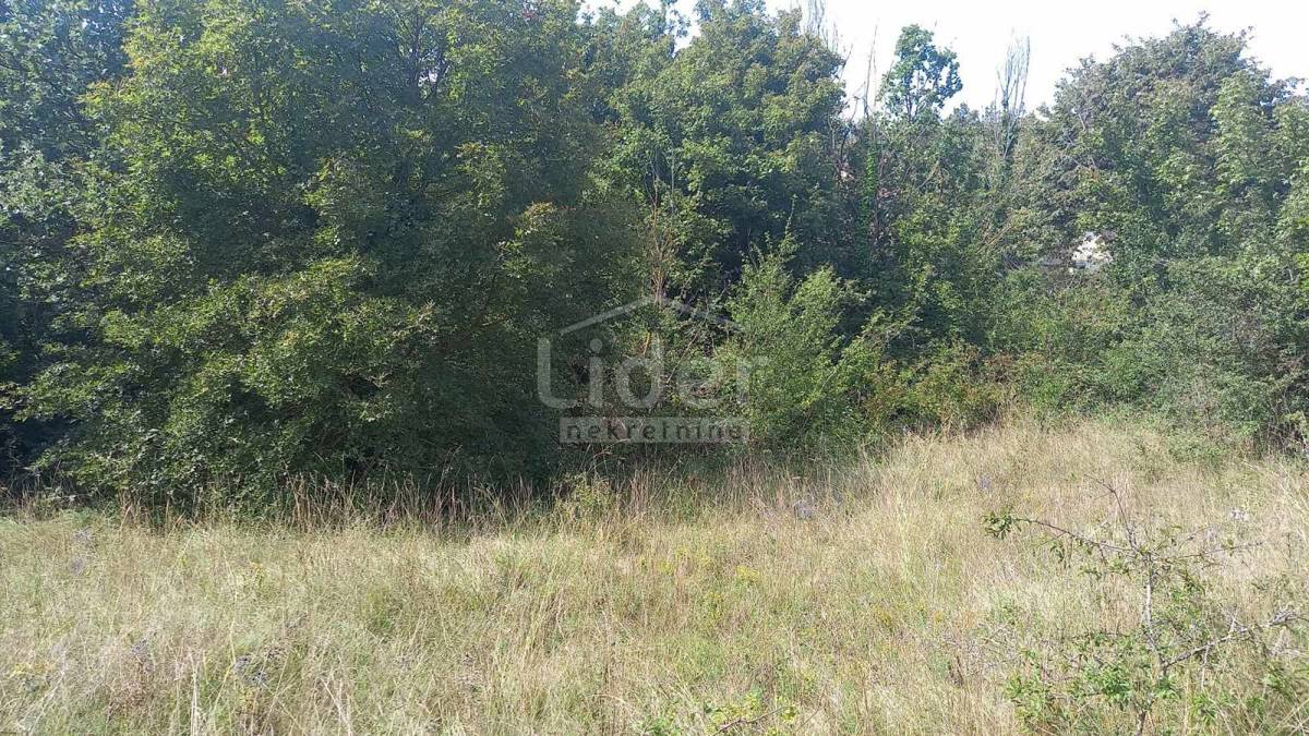 Zemljišče Laginji, 1950m2