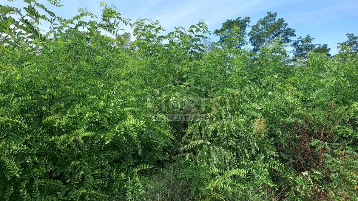 Zemljišče Laginji, 2370m2