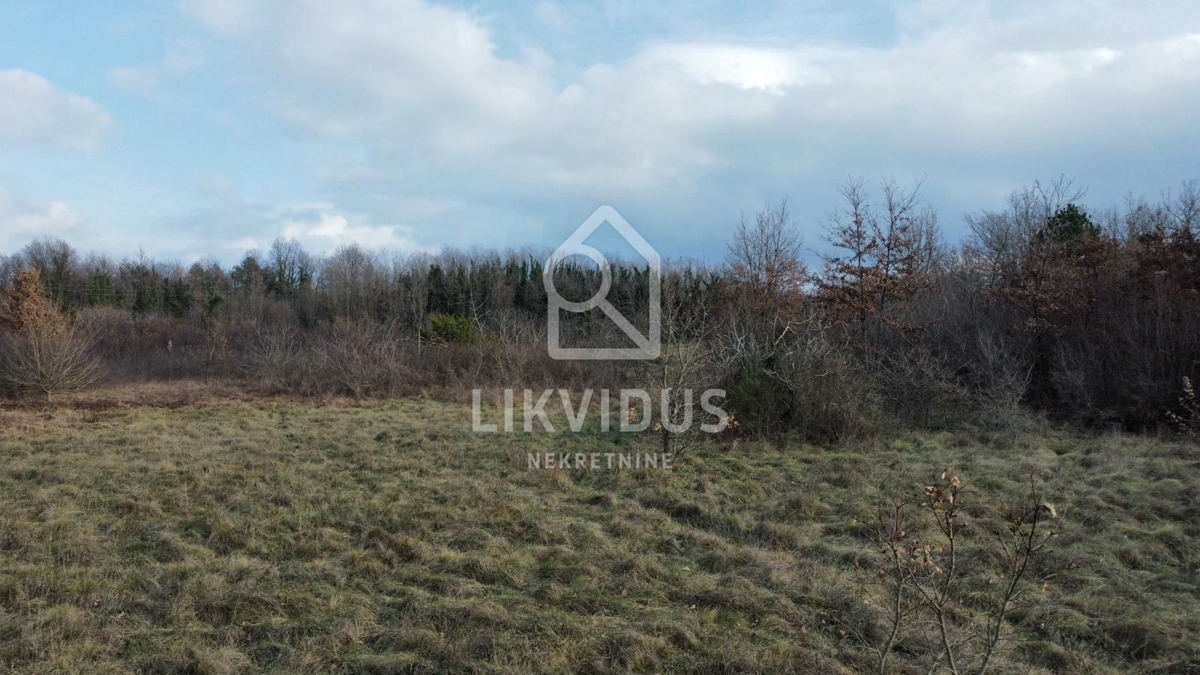 Zemljišče Kunj, Raša, 11.116m2