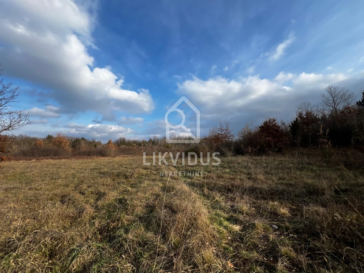 Zemljišče Kunj, Raša, 11.116m2