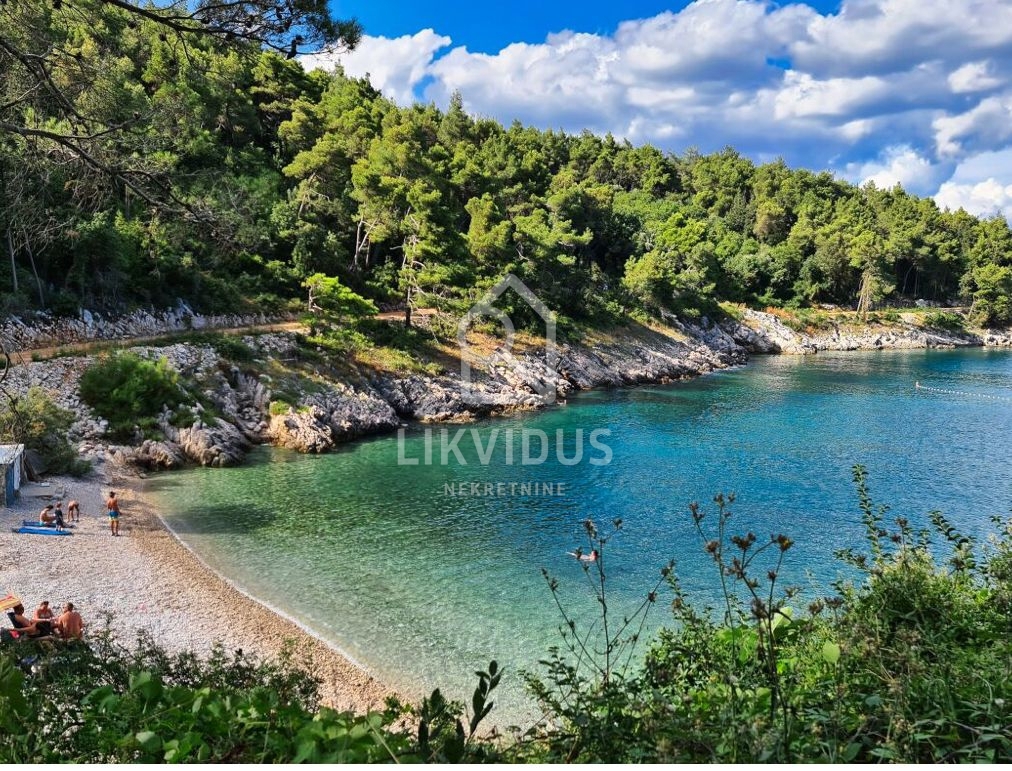 Hiša Drenje, Raša, 300m2