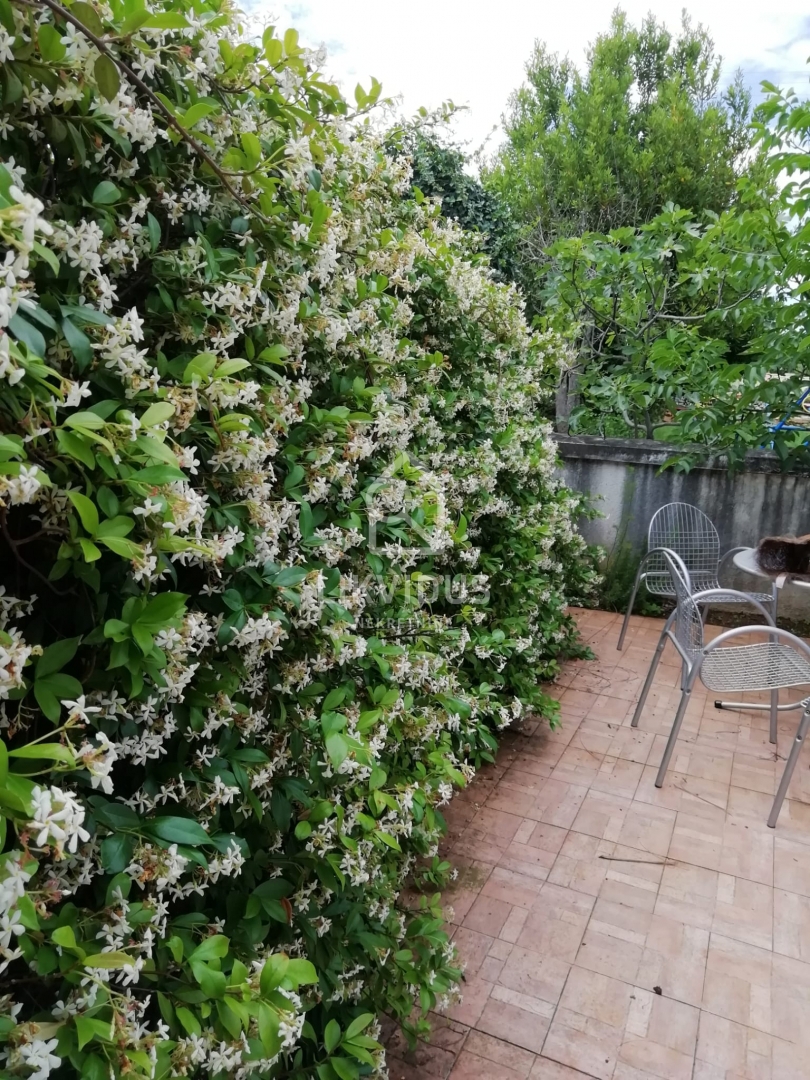 Hiša Filipana, Marčana, 300m2