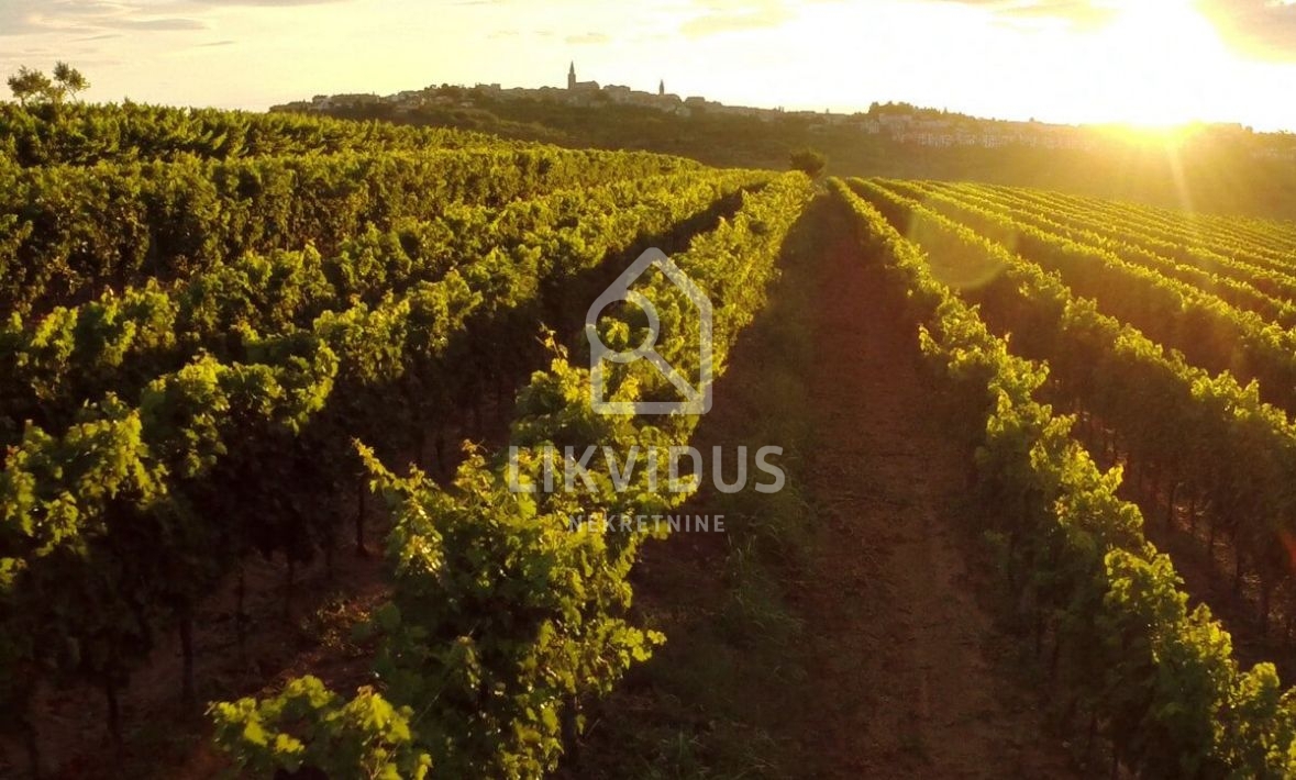 Hiša Momjan, Buje, 159m2