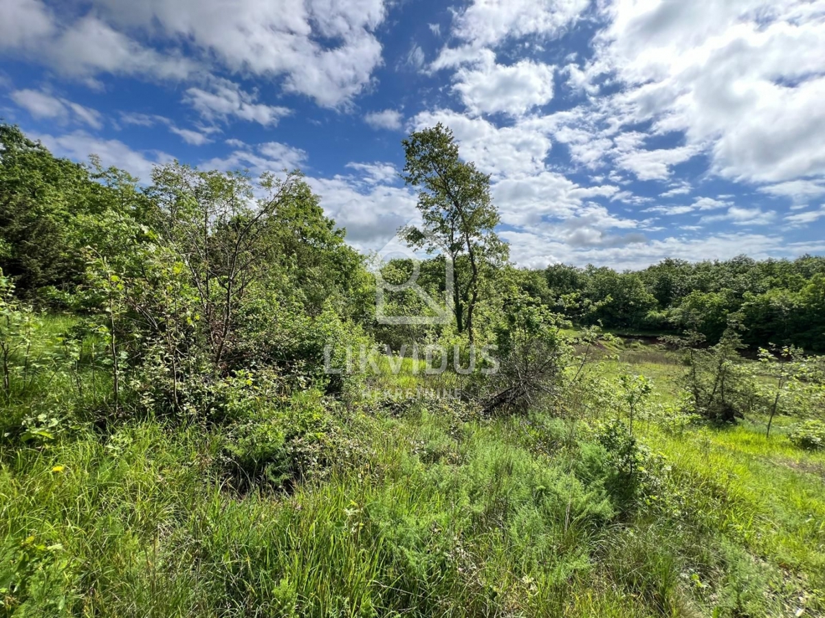 Zemljišče Šarići, Marčana, 26.000m2