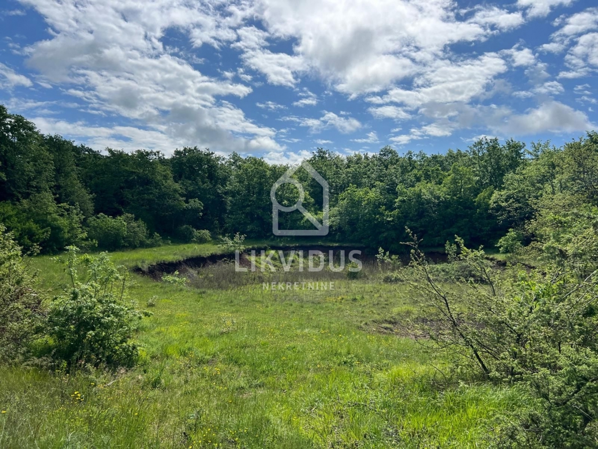 Zemljišče Šarići, Marčana, 26.000m2