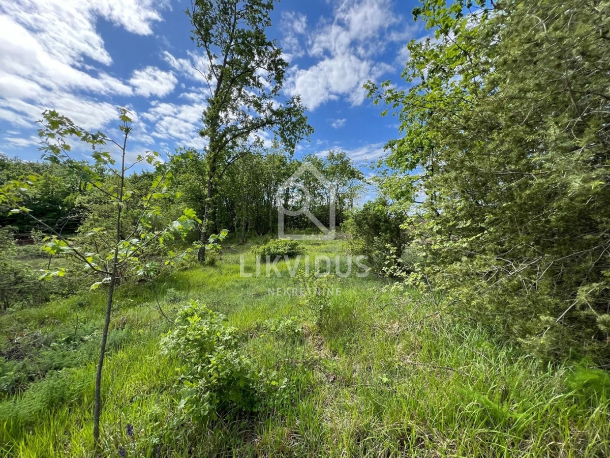 Zemljišče Šarići, Marčana, 26.000m2