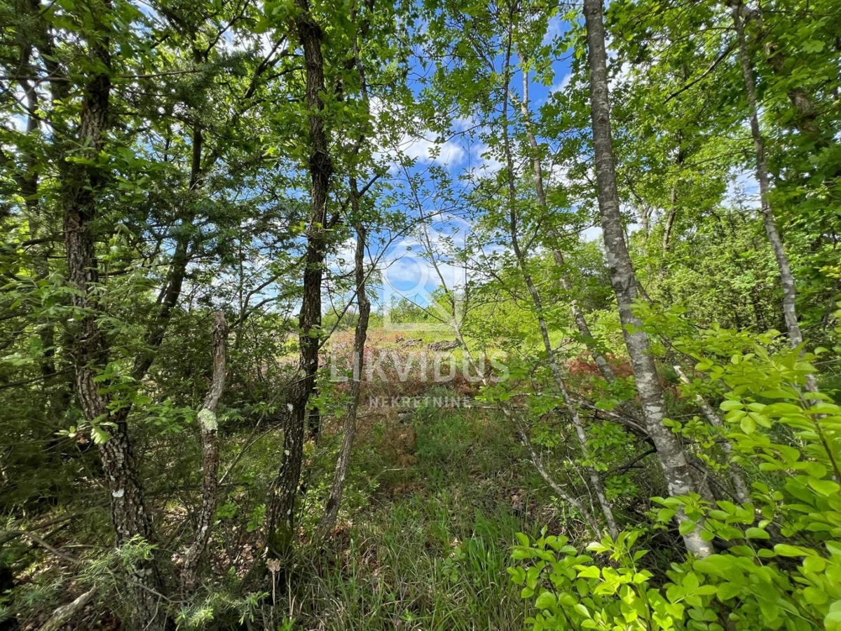 Zemljišče Šarići, Marčana, 26.000m2