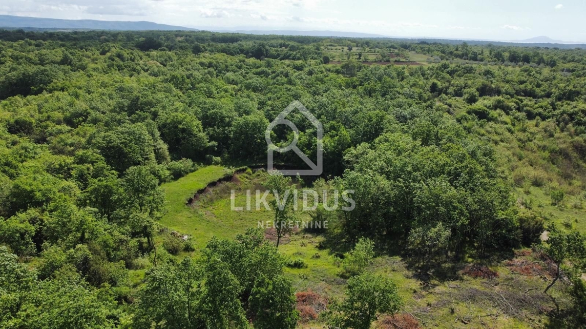 Zemljišče Šarići, Marčana, 26.000m2