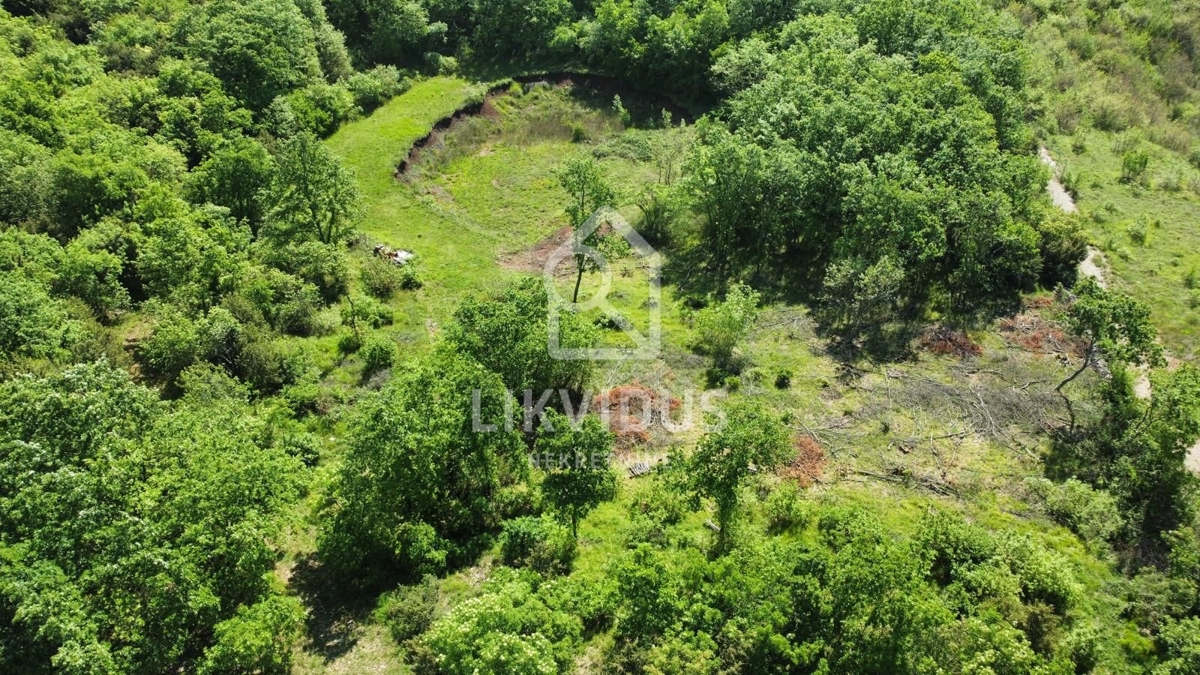 Zemljišče Šarići, Marčana, 26.000m2