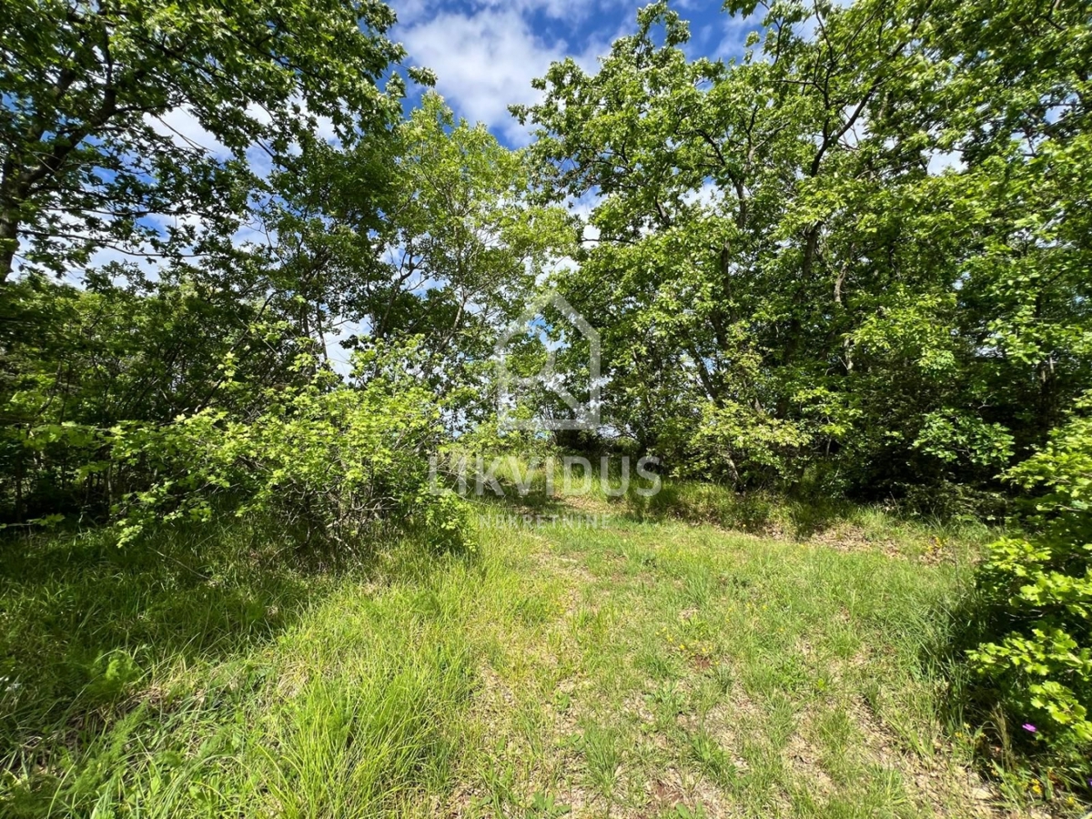 Zemljišče Šarići, Marčana, 26.000m2