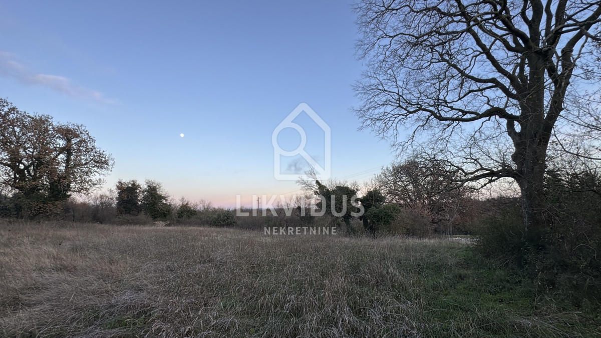 Zemljišče Šajini, Barban, 3.000m2