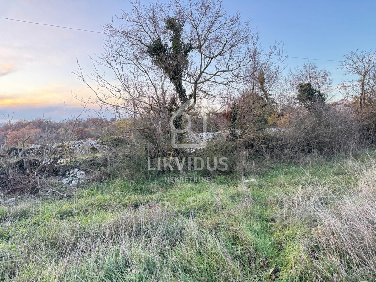 Zemljišče Šajini, Barban, 3.000m2