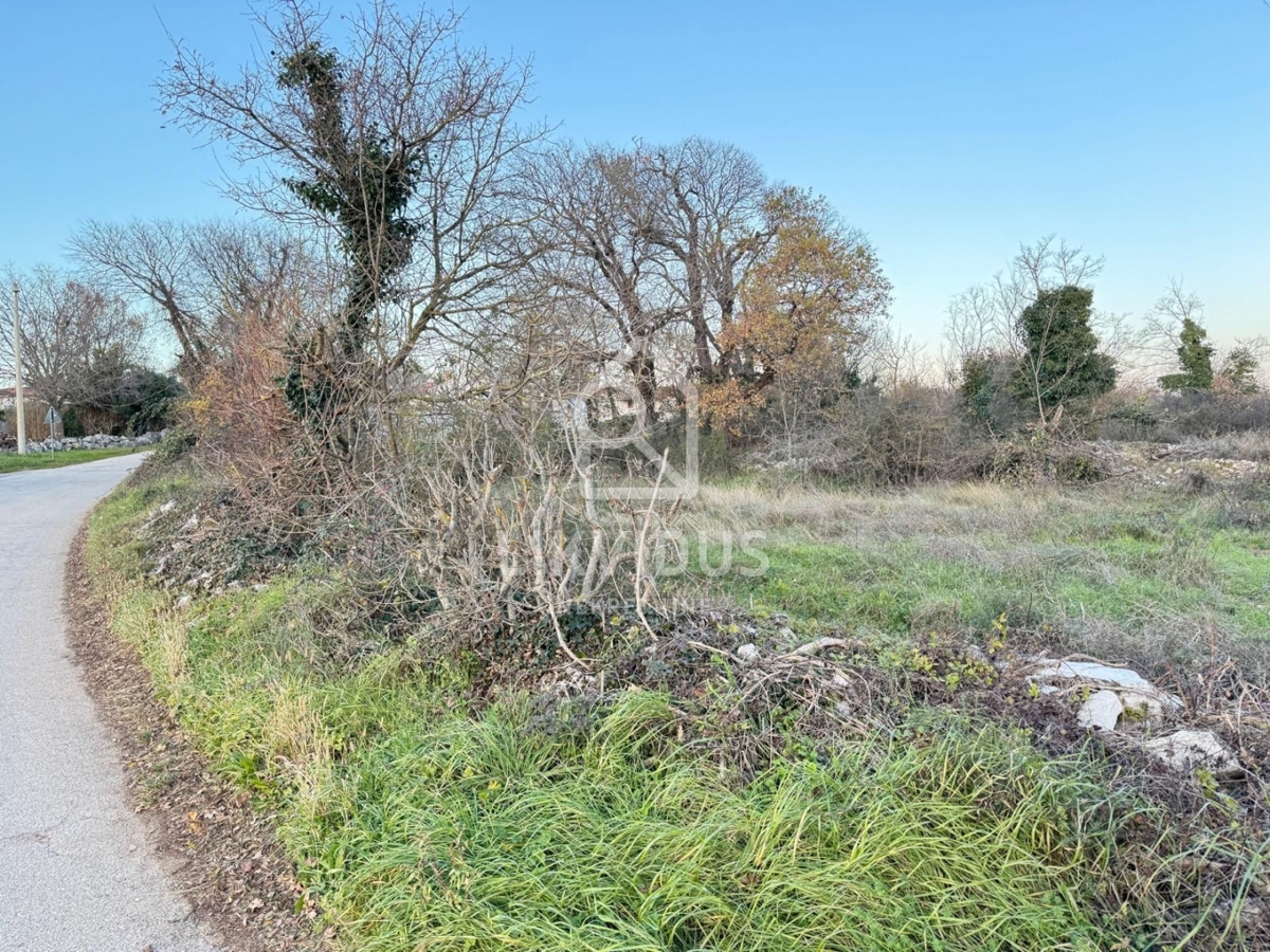 Zemljišče Šajini, Barban, 3.000m2