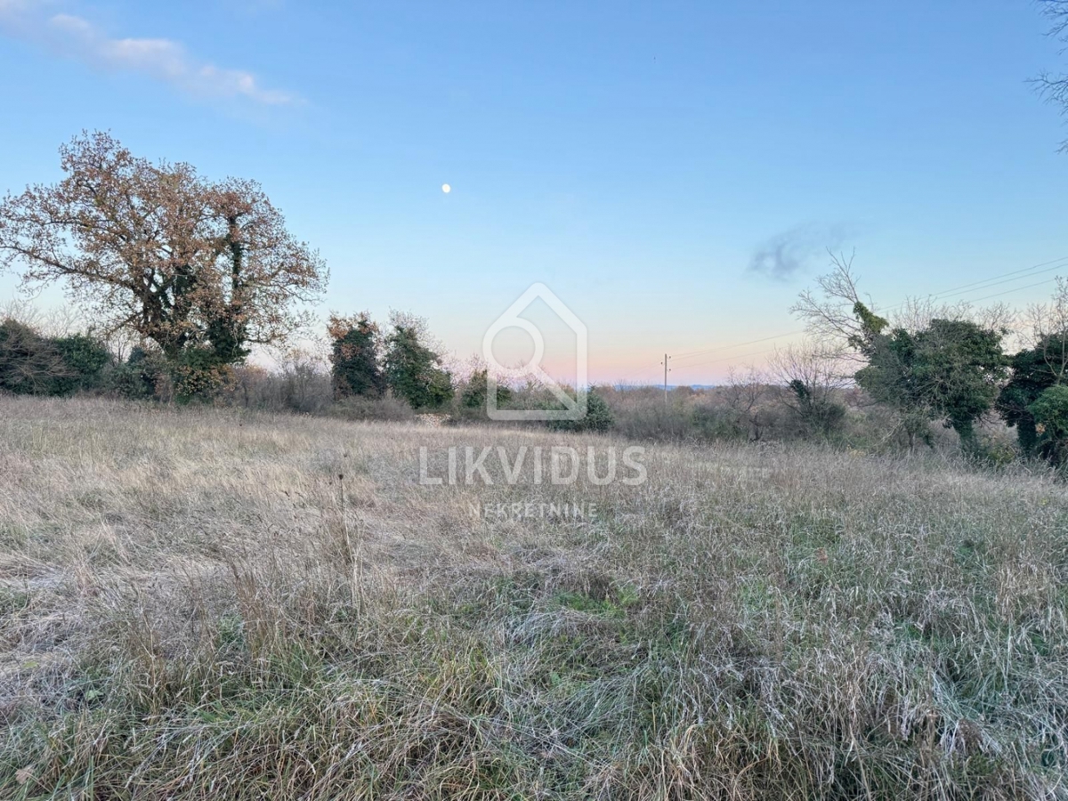 Zemljišče Šajini, Barban, 3.000m2