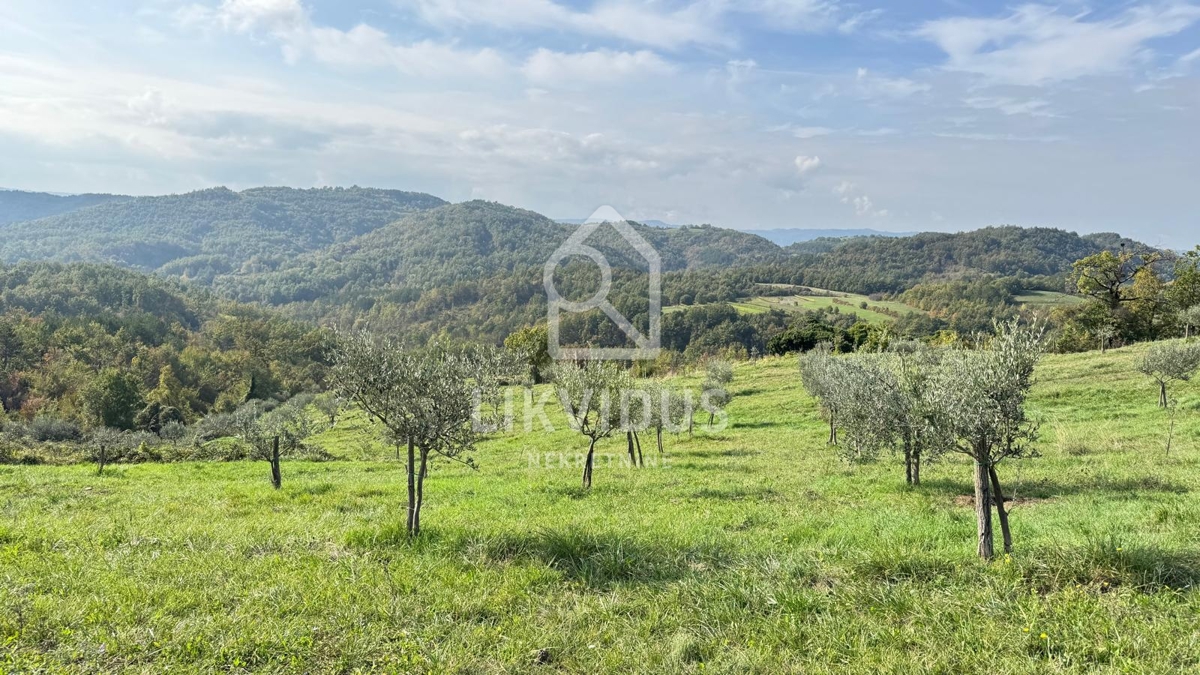 Zemljišče Draguć, Cerovlje, 120.000m2