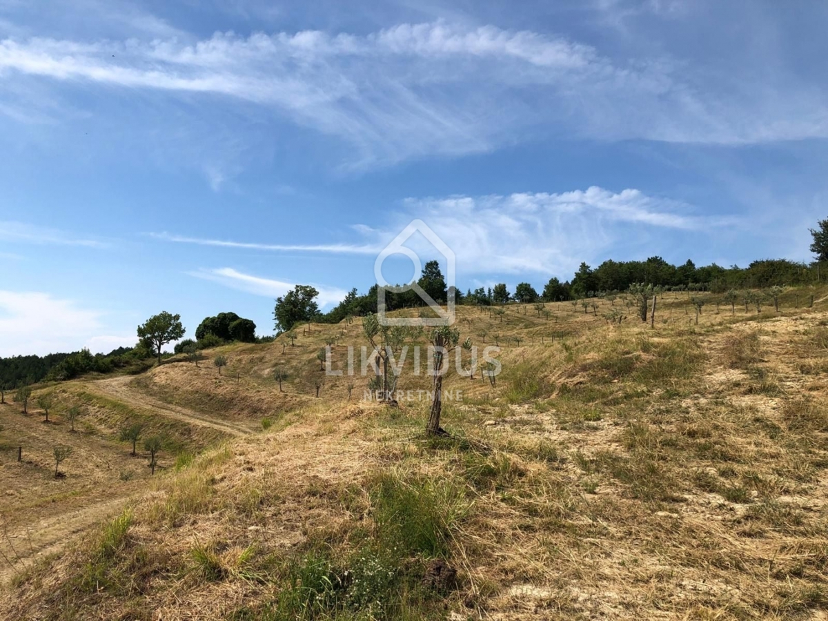 Zemljišče Draguć, Cerovlje, 120.000m2
