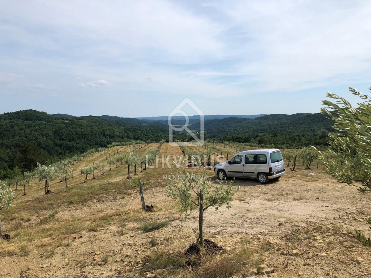 Zemljišče Draguć, Cerovlje, 120.000m2