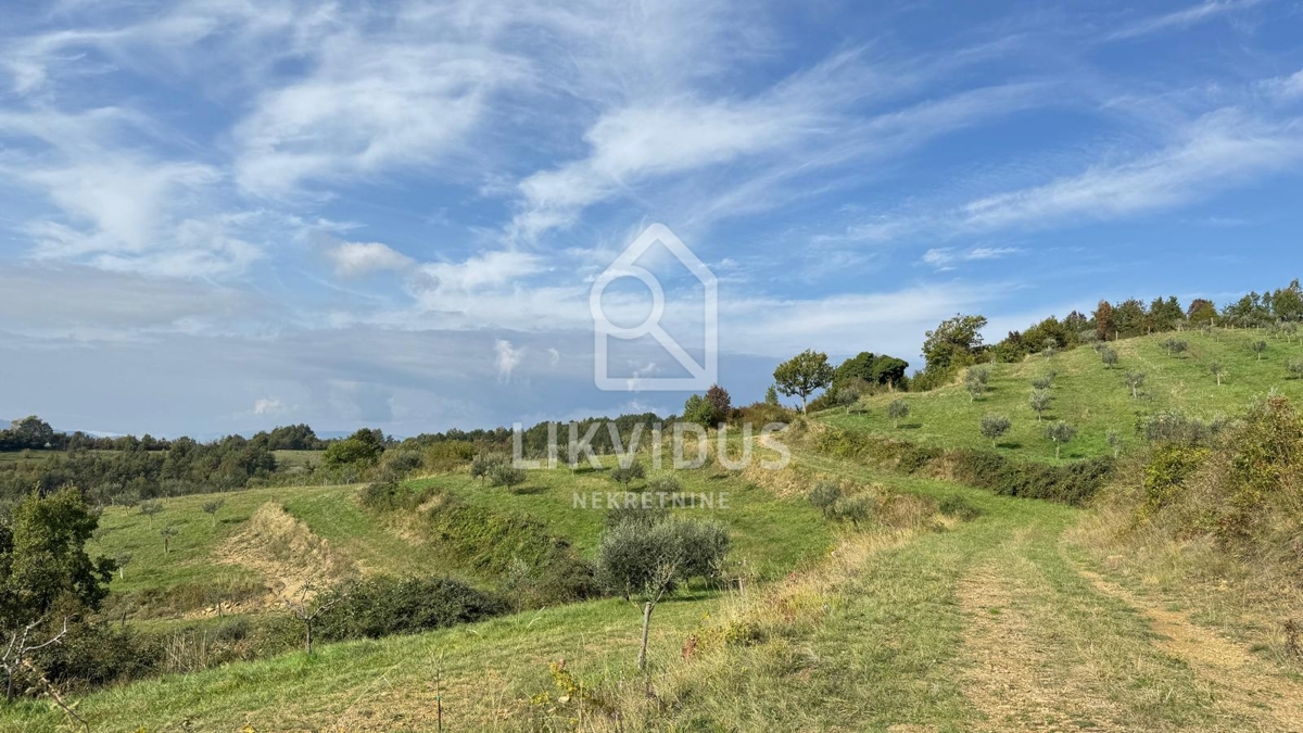 Zemljišče Draguć, Cerovlje, 120.000m2