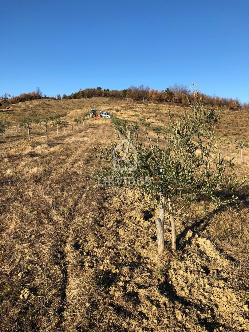 Zemljišče Draguć, Cerovlje, 120.000m2