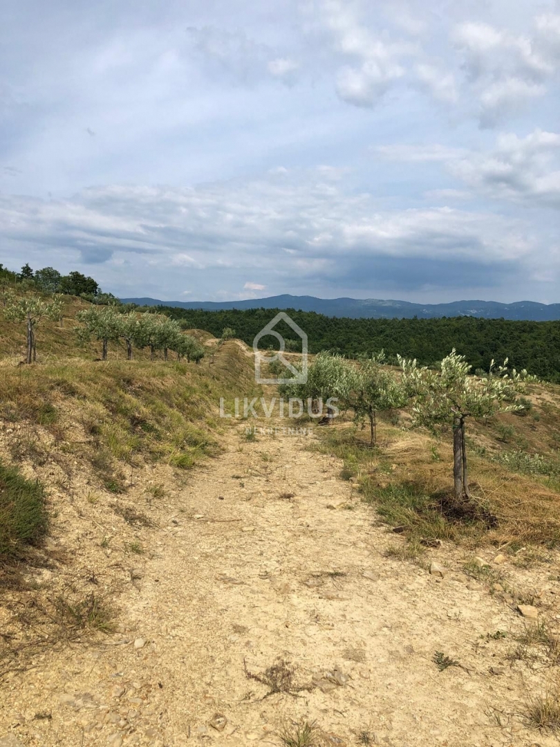 Zemljišče Draguć, Cerovlje, 120.000m2