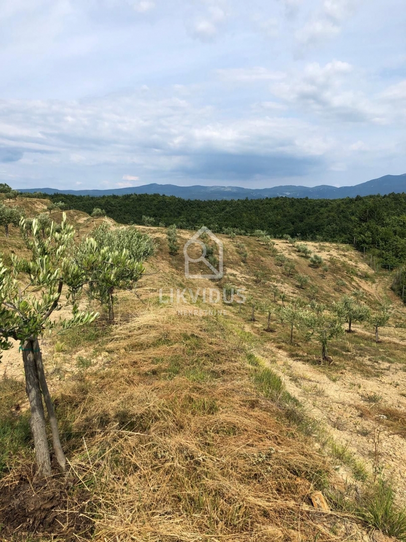 Zemljišče Draguć, Cerovlje, 120.000m2