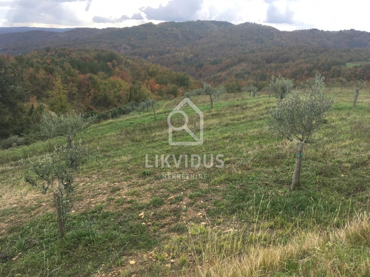 Zemljišče Draguć, Cerovlje, 120.000m2