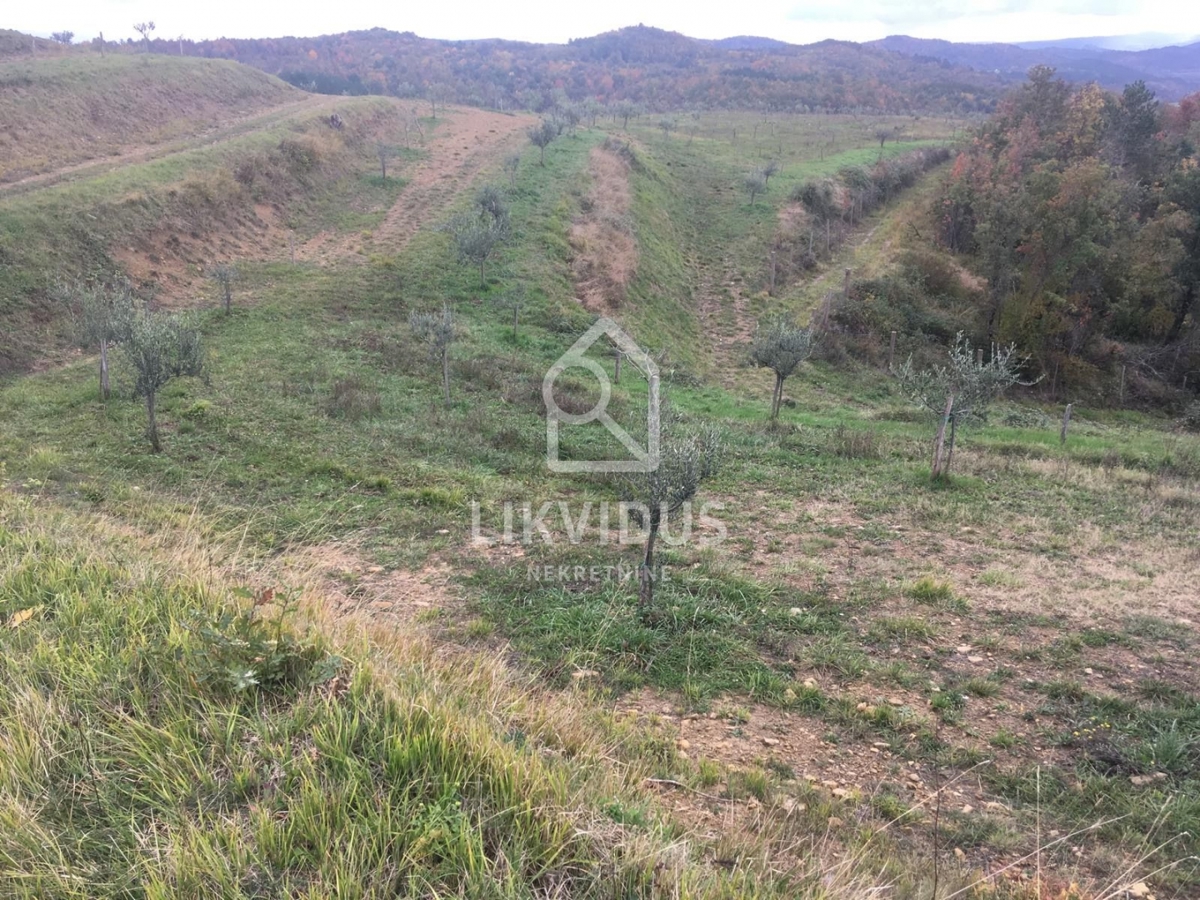Zemljišče Draguć, Cerovlje, 120.000m2