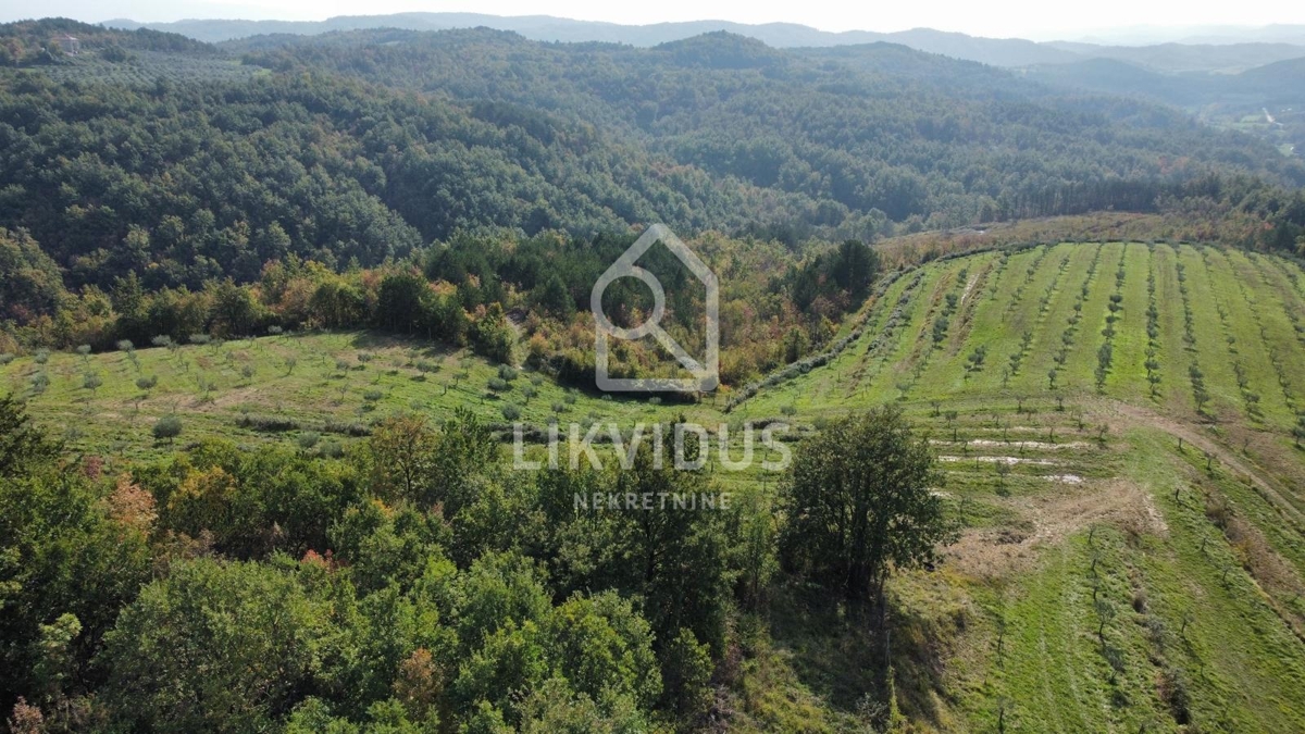 Zemljišče Draguć, Cerovlje, 120.000m2