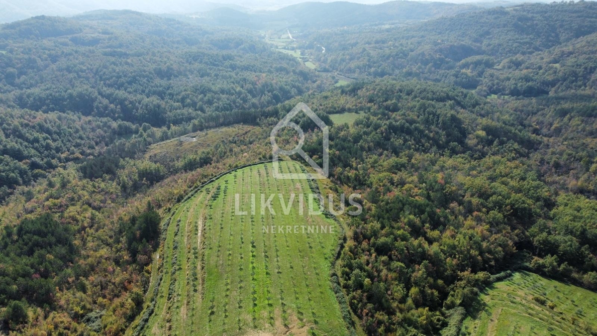 Zemljišče Draguć, Cerovlje, 120.000m2