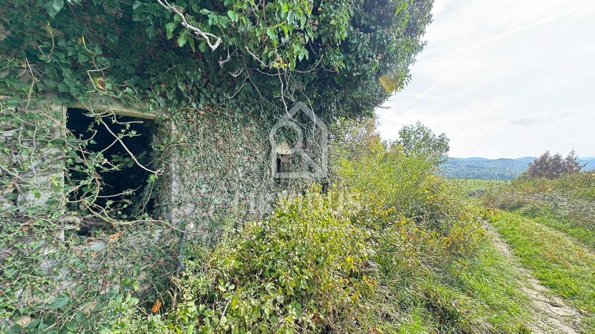 Hiša Draguć, Cerovlje, 350m2