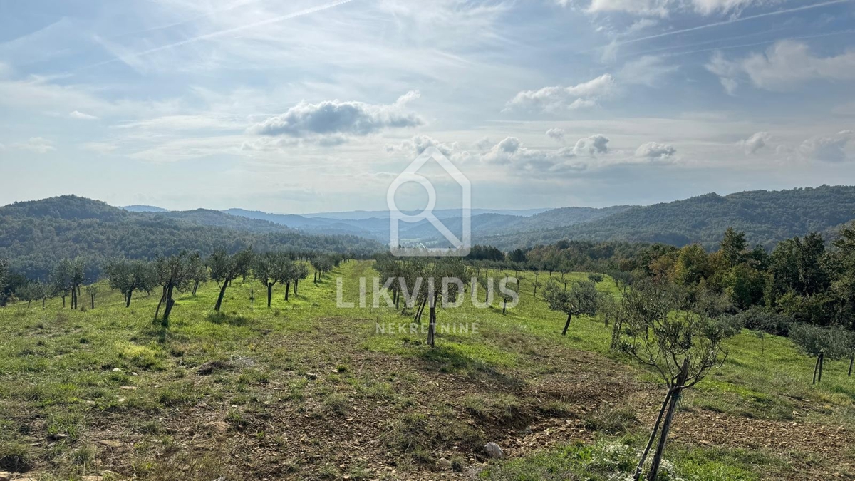 Hiša Draguć, Cerovlje, 350m2