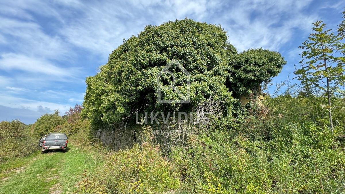 Hiša Draguć, Cerovlje, 350m2