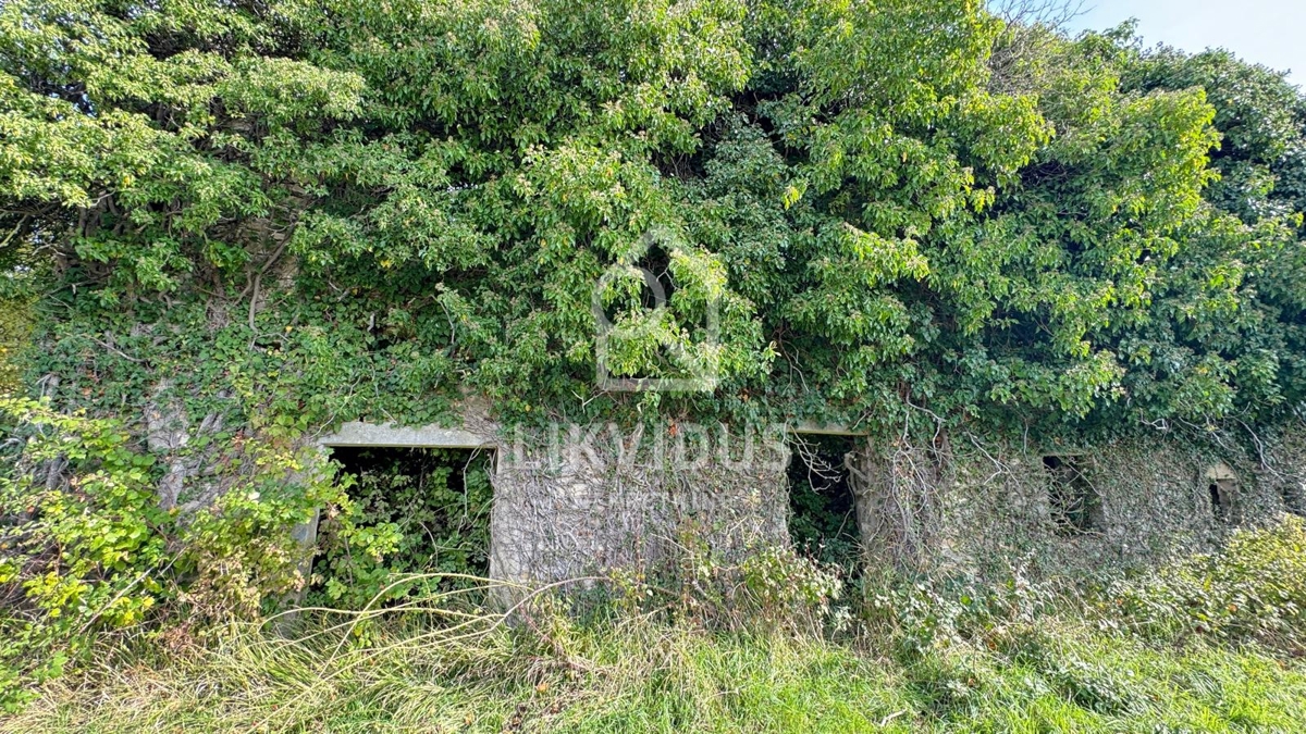 Hiša Draguć, Cerovlje, 350m2