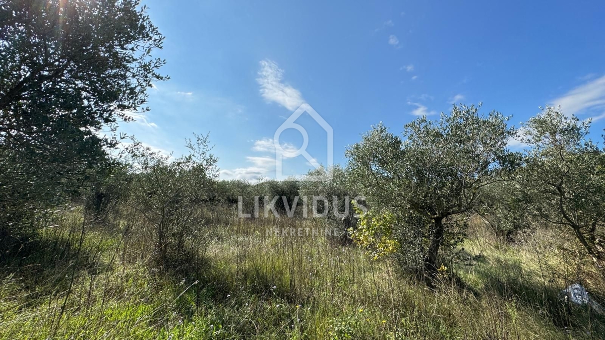 Zemljišče Bale, 1.928m2