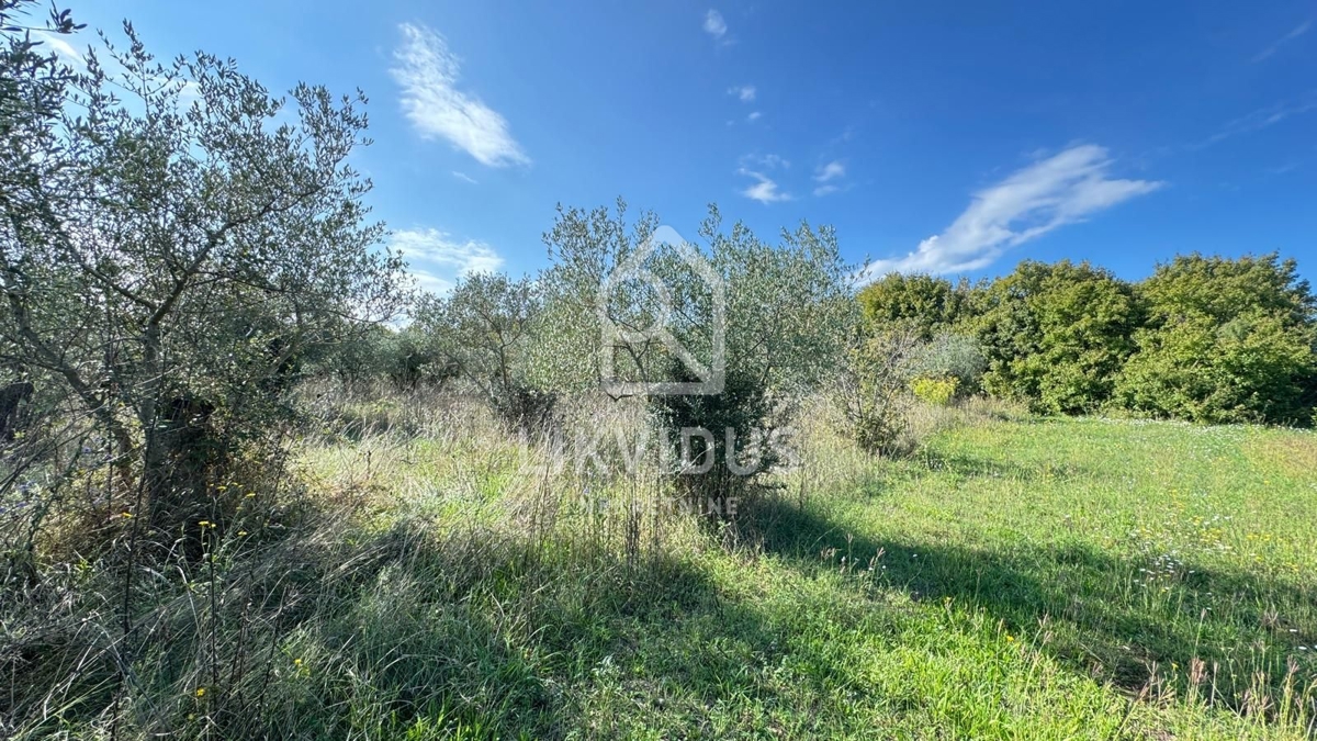 Zemljišče Bale, 1.928m2