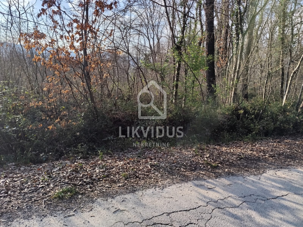 Zemljišče Potpićan, Kršan, 10.128m2