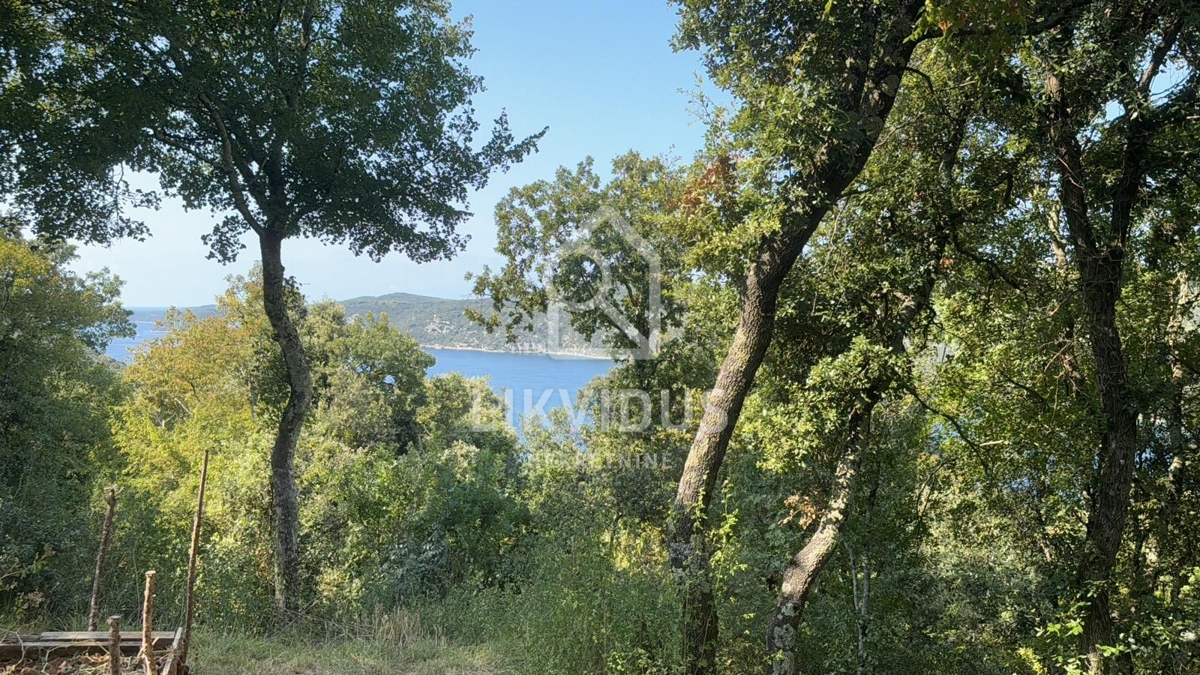 Zemljišče Rovinjsko Selo, Rovinj, 31.244m2