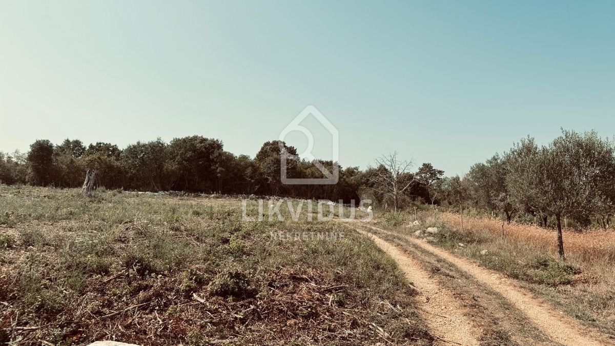 Zemljišče Rovinjsko Selo, Rovinj, 31.244m2