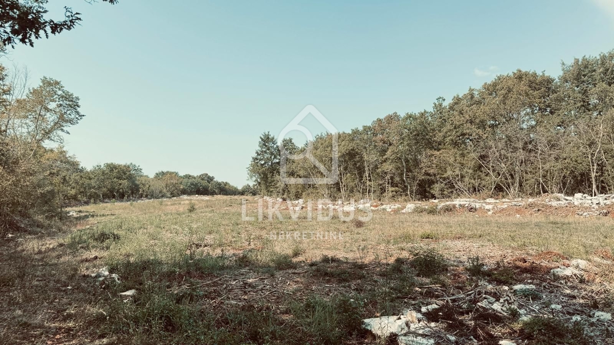 Zemljišče Rovinjsko Selo, Rovinj, 31.244m2