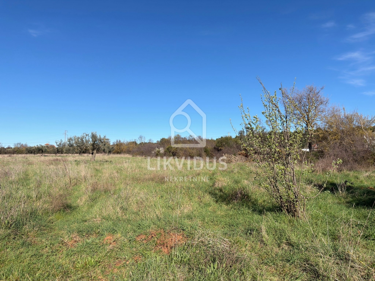 Kmetijsko zemljišče, 6.618 m², Pomer, z legaliziranim objektom cca 30 m²