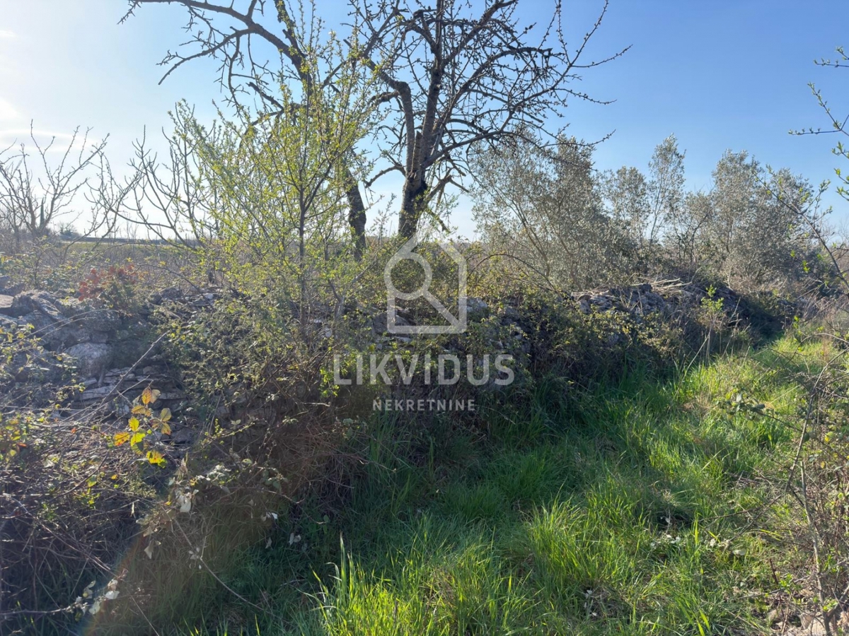 Kmetijsko zemljišče, vinograd, Vodnjan, 1.877 m²