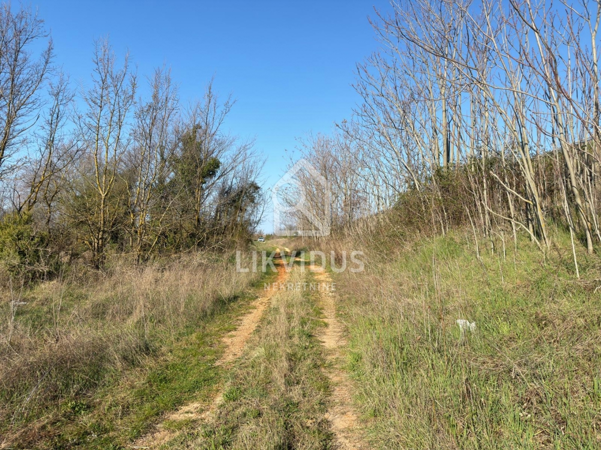 Kmetijsko zemljišče, vinograd, Vodnjan, 1.877 m²